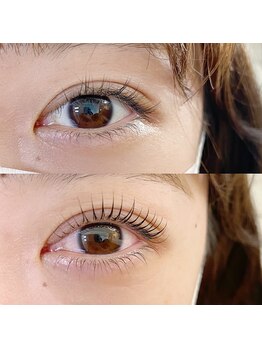 フランセス(Frances)/上下ラッシュリフト