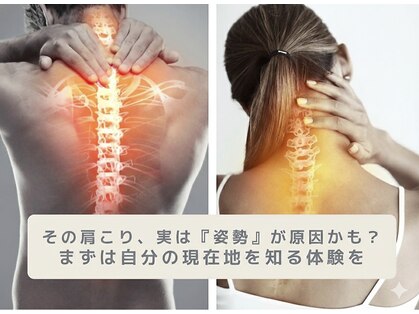 ここもむの写真