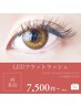【リピ-タ-様限定】LEDフラットラッシュ120本¥7500/140本¥8000/つけ放題¥8500