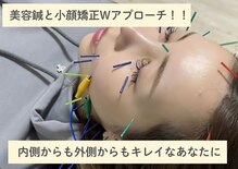 スゥルシエル(Sous le ciel)