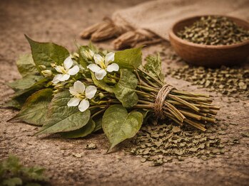 眠れるよもぎ蒸し 仙川店/ドクダミ