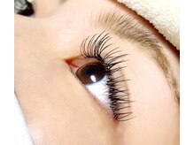 ナップ(Napp)/フラットラッシュDカール160本