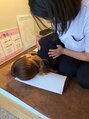 タイム(IME) お身体のお悩みお任せください!