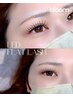 FLAT LASH☆圧倒的持続力☆【LED120本】