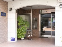 リリー ビケ(Lily biquet)/外観