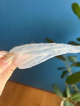 ボーホーアフロ(BOHO AFRO)/フェイシャルMIX脱毛