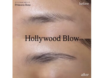 プリンセスローズ 富士店(Princess Rose)/ハリウッドブロウ