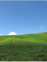 養生堂 経絡整体治療院 柏センター&nbsp;Ｋ 