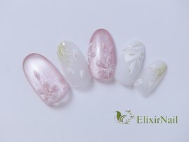 定額c やり放題/クーポン使用