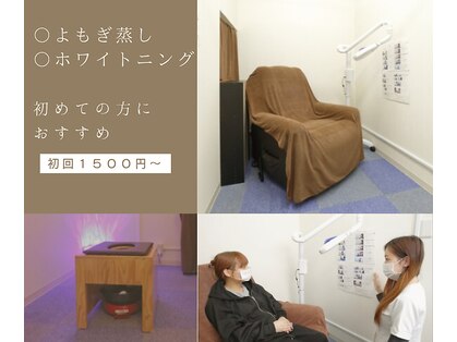 葵の写真