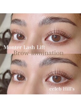 セレブヒルズ 丸の内/モンテブロウラミネーション