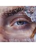 【新規・8週間以内再来】LED ボリュームラッシュ100本 ¥10000→¥8500