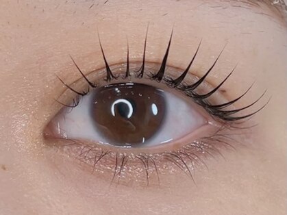 ミイアイラッシュ(mii eyelash)の写真