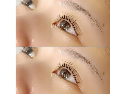 プリュム(Plume)の写真