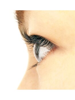 アイラッシュサロン ブラン ピオレ姫路店(Eyelash Salon Blanc)/シングル☆Dカール