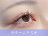 【初回限定】カラーセーブル100本￥5500/ブラウンフラット100本¥6380