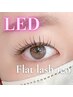 8月平日限定★LED×フラットラッシュ120本・オフ無料
