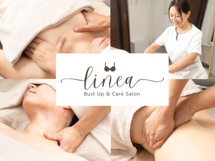 リネア(Linea)の写真