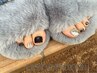 ずっとオフ無料♪フットワンポイントアート♪7,800円