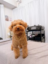 ラヴィ(La vie)/看板犬☆太郎くんがお出迎え