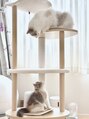 リラベル(Lyrbelle)&nbsp;2匹の猫と暮らしています！動物大好きです♪