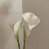 リーリエ(L'elie)のお店ロゴ