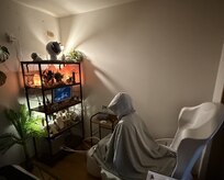 ホヌオラ(Honu Ola)