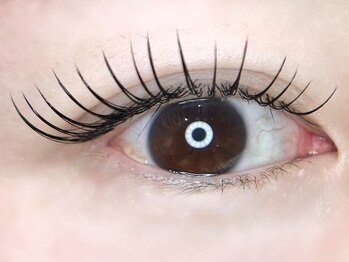 フリードットアイラッシュ(free.eyelash)の写真/【西蒲区希少のアイサロン★巻駅徒歩1分】提案型カウンセリング+施術で自然&魅力を最大限惹き出す目元へ♪