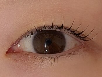 ココ(COCO)/まつ毛パーマ