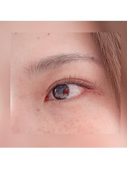 リコリス(licoris)/ブラウンのボリュームラッシュ