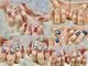 ミラクルネイル(Miracle Nail)の写真