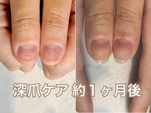 レヴィア(Revia)/