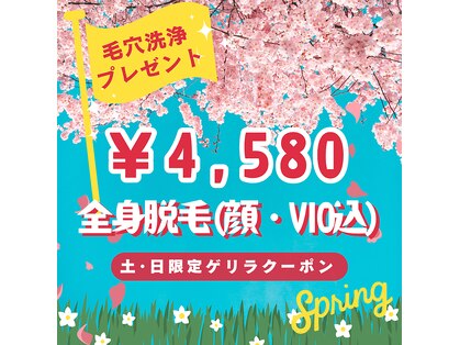 アルゴ 伊勢崎店(ALGO)の写真