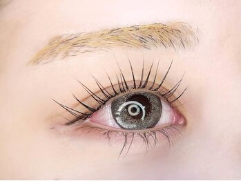 ドレス(Dress nail＆eyelash Lolonois)/アイデザイン