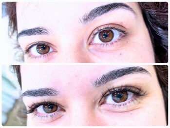 ステラ/ボリュームラッシュ120束