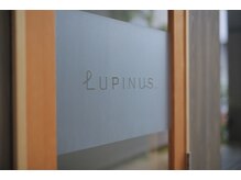 ルピナス(Lupinus.)/