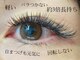 アイラッシュサロン アイリー(eyely)の写真