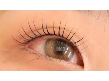 アフロデイーテ(Aphrodite)/Lash Lift