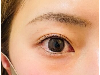 ルピナス(Lupinus)/ラッシュリフト