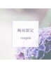【梅雨対策キャンペーン★】保湿コーティング付きまつげパーマ　¥5,500