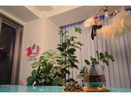 ツバキ(TUBAKI)の写真