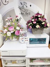 ネイルディーアンドディー(Nails D&D)/