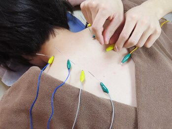 鍼灸治療院 桜セラピー院/