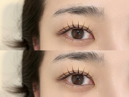 ソワール(soir.)の写真