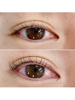 プルメリアラッシュ(PlumeriaLash)/ビューラー式まつげパーマ