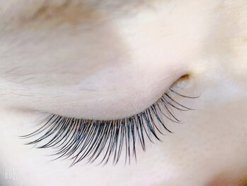 アリータ(ALITA)/フラットラッシュ100本