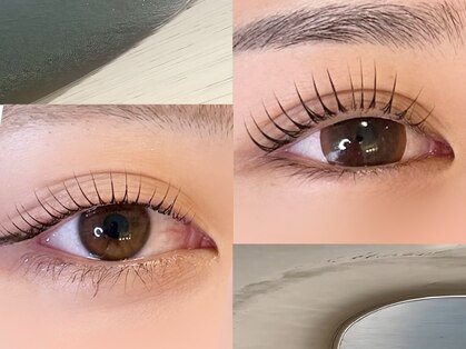 フェルナ(FERNA)の写真