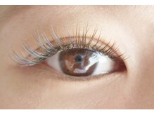 テイラー(Taylor)/ラッシュシャドー SONE