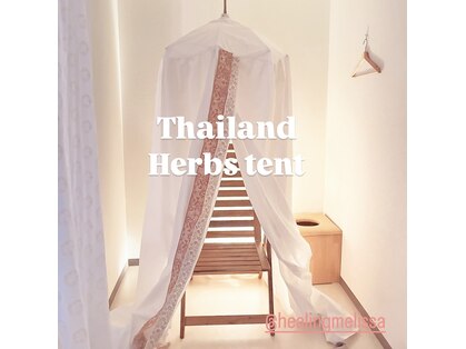 メリッサ(MELISSA)の写真