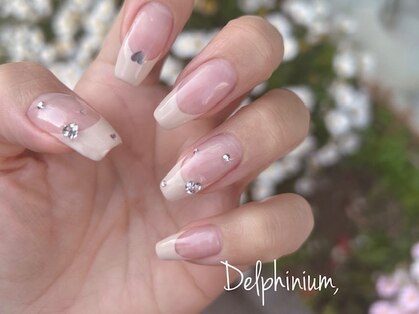 デルフィニウム(Delphinium)の写真